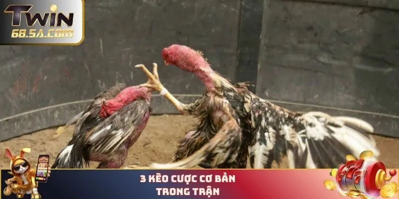 3 kèo cược cơ bản trong trận 